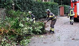 Pioggia e vento sulla città, in via Biffi cade un albero