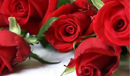 TERMINATO - "San Valentino" - Scrivete le vostre parole d'amore... 