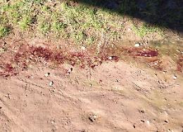 Tracce di sangue lungo l'Adda, indagine dei carabinieri