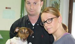 Cane aggredito da un pitbull, i padroni faranno denuncia