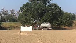 'Nonna quercia' ha sete, una cisterna d'acqua per darle da bere