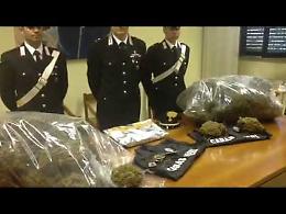 VIDEO La droga rinvenuta e sequestrata dai carabinieri