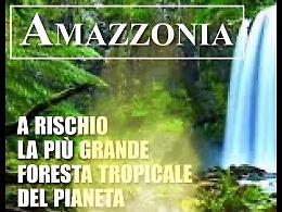  #prayforamazonia,  l'Amazzonia brucia: i numeri del polmone del mondo