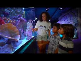 VIDEO Federica Brignone e Gardaland Sea Life Aquarium insieme per ripulire il Lago di Garda