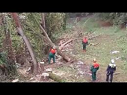 VIDEO L'esercitazione della Protezione civile lungo il Serio