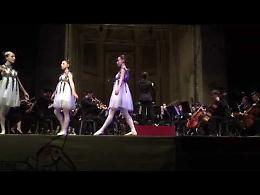 Fatf: concerto e show conclusivo