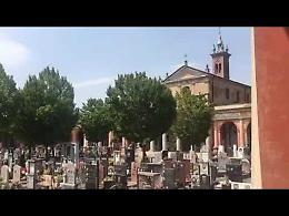 Versi di rapaci contro i piccioni: il suono dei dissuasori di Monticelli