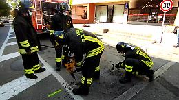 Perdita di gas in via Piacenza, vigili del fuoco e addetti comunali in azione