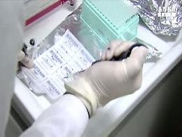 Medico rientrato dalla Sierra Leone in isolamento volontario