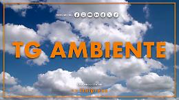 Tg Ambiente - 7/9/2025