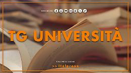 Tg Università - 4/11/2025