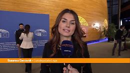 Ue, Ceccardi "Rinviato regolamento su deforestazione che penalizzava le imprese"