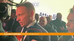 Lollobrigida "Sostenere l'agricoltura è una scelta strategica"
