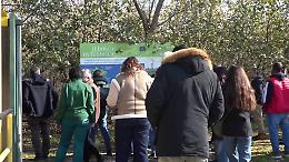 A Marcianise svolta green Haiki Metals, Pietro Colucci "10 mln di investimenti"