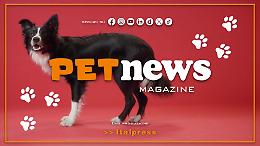PetNews Magazine - 19/1/2026