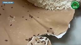 Blatte e 250 chili di prodotti scaduti, chiuso bar a Catania