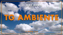 Tg Ambiente - 22/2/2026
