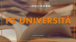 Tg Universit&agrave; - 24/2/2026
