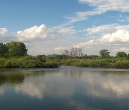 Visita guidata alla scoperta della riserva naturale Le Bine