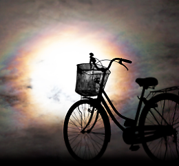 Pedalata al chiaro di luna lungo le anse del Po