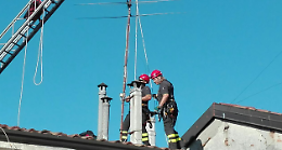 I vigili del fuoco mettono in sicurezza la copertura pericolante di uno stabile
