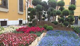 Cremona si veste di verde con Le Invasioni Botaniche