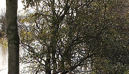 Suggestioni sull'acqua