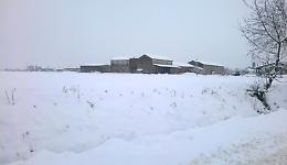 Nevicata e blackout a Corte de' Cortesi con Cignone (Severina)