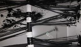 Il messaggio forte del padiglione della Corea (Lucia)