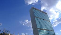 Dal Manin all'Onu