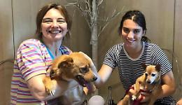 Poteva morire, nuova vita in famiglia per il cane Salvo