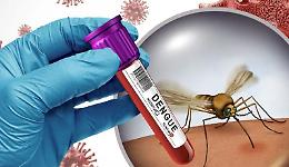 Allerta Dengue: interventi straordinari tra Villanova e Stagno Lombardo