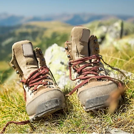 Walle: Easy Hike e pranzo in Valtrebbia