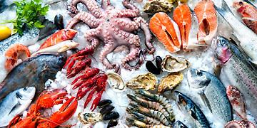 Pi&ugrave; il pesce &egrave; fresco, meglio &egrave;. Per il gusto e per la salute.