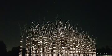 E' allarme sulle condizioni della Cattedrale Vegetale