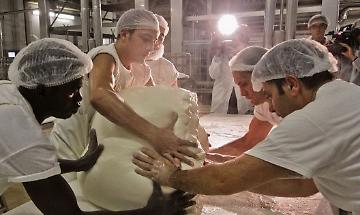 Cremona capitale del latte: l’industria è pronta alla sfida