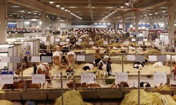 Fiere Zootecniche, Ferro (Ag ICE): “Positivi risultati dell’export dell’agroalimentare, zootecnia anello fondamentale”