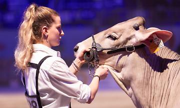 Tutto pronto: il meglio in vetrina