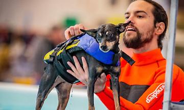 Torna il Petsfestival, gli animali da compagnia protagonisti di un weekend magico