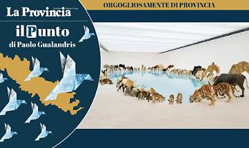 Il Kalahari siamo noi, solo insieme si sopravvive