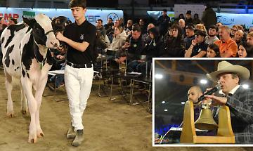 Promesse di futuro, la genetica all'asta