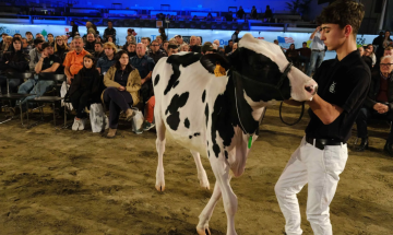 Fiere Zootecniche Internazionali, la terza giornata e il gran finale sul ring