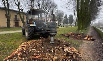 Il Parco delle Rimembranze rimesso in sicurezza