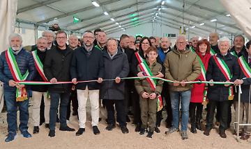 Sant&rsquo;Apollonia 2026: la fiera tra tradizione agricola e innovazione