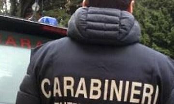 Denunciata la sfruttatrice