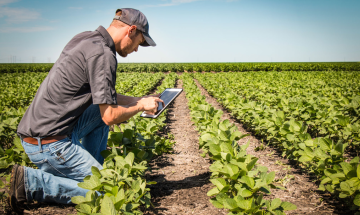 Vitari: &laquo;Non toccate le risorse destinate ad agricoltura e Comuni&raquo;