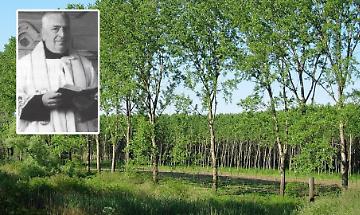 Parco pubblico dedicato a don Bruno