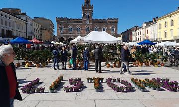 &laquo;Listone in Fiore&raquo; a Casalmaggiore: la manifestazione &egrave; partita benissimo