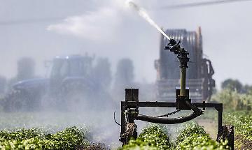 La Commissione chiede meno controlli per piante modificate per ottenere "mutazioni semplici"