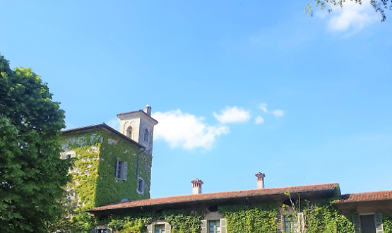 Visita guidata a Villa Bottini La Limonaia